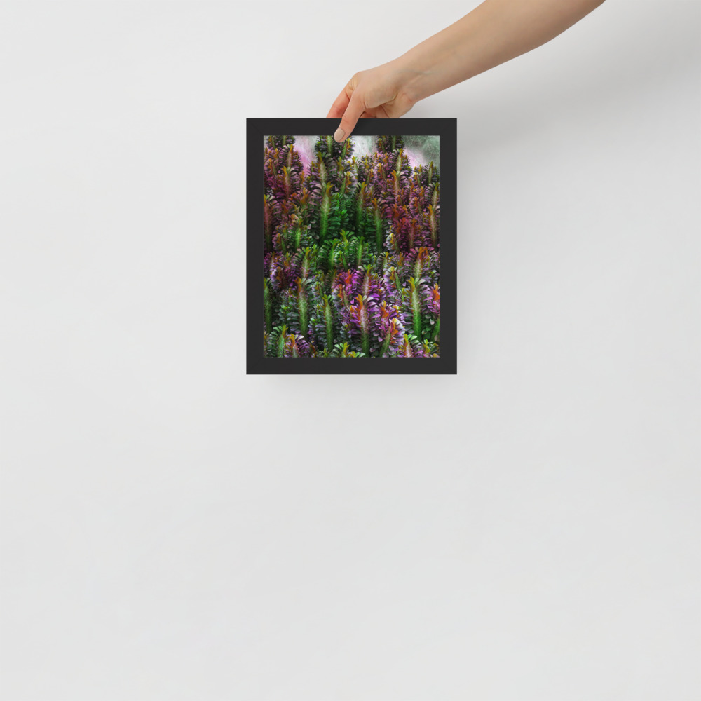 Euphorbia Enchantment Succulent Framed poster